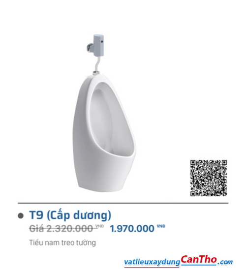 Tiểu Nam Viglacera T9 ( Cấp Dương )